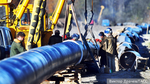     Фото: Виктор Драчев/ТАСС   
 Текст: Ольга Самофалова