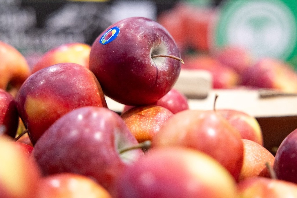    Фото © Владимир Андреев / Абзац