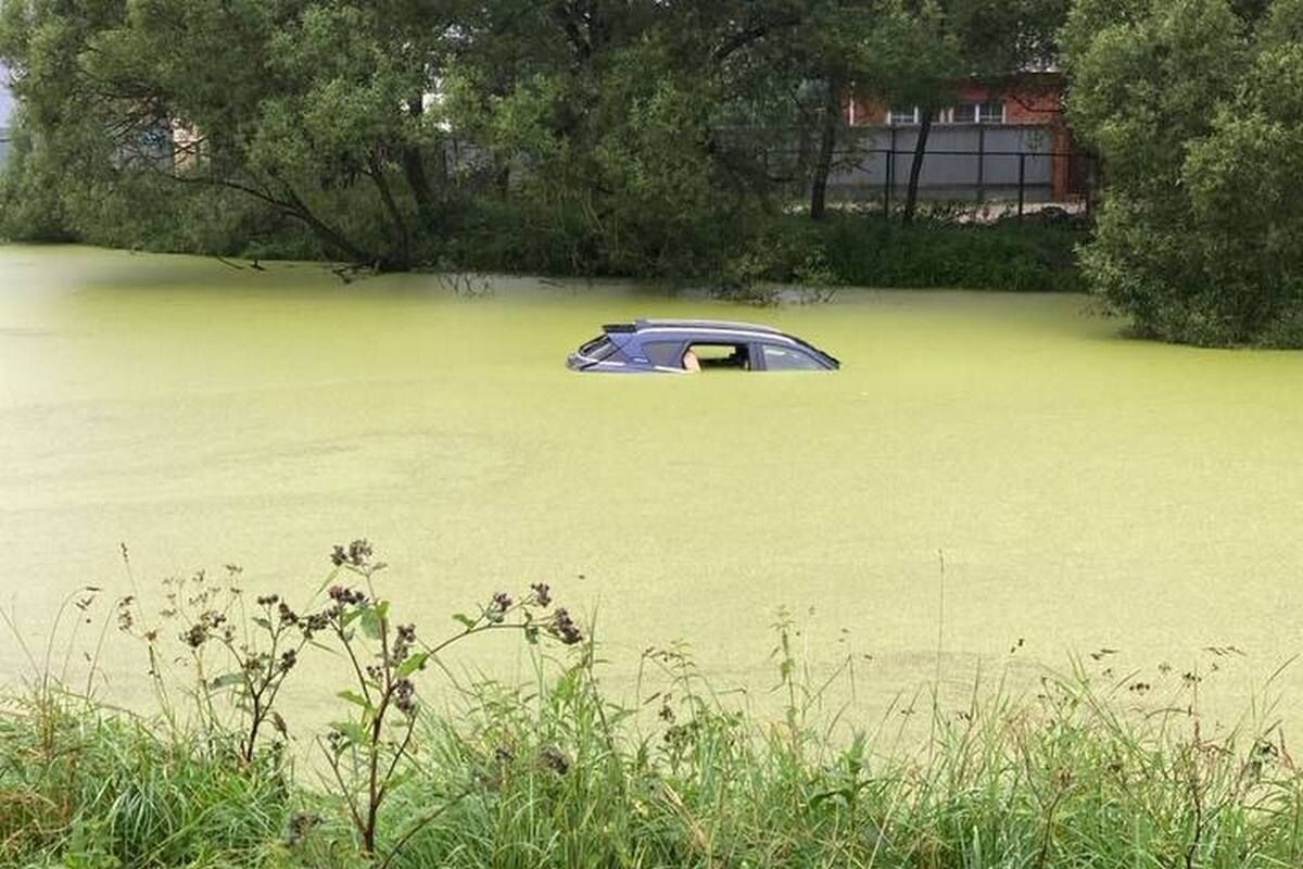     / Источник: © Соцсети