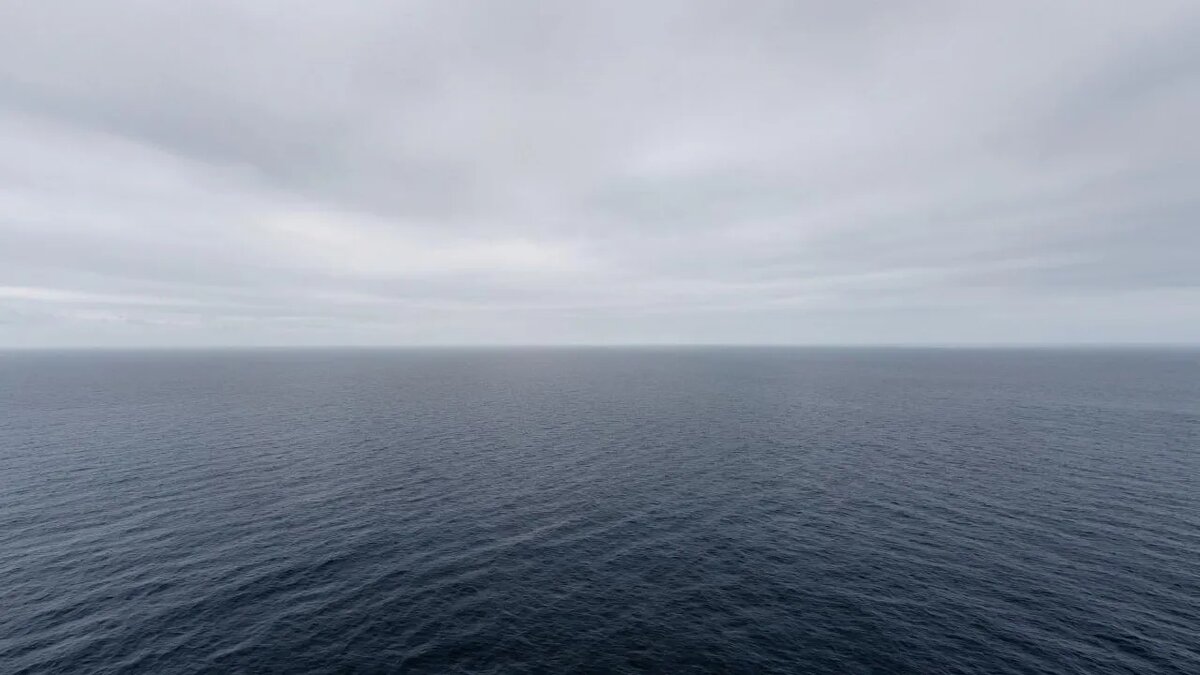    Сгенерировано ИИ