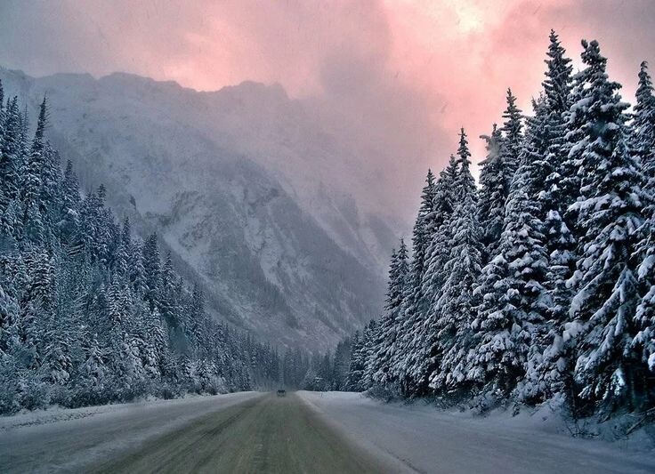 Фото из интернета. Зимник.