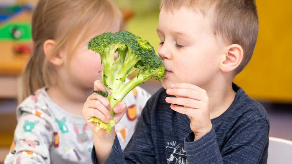    Почему дети ненавидят овощи