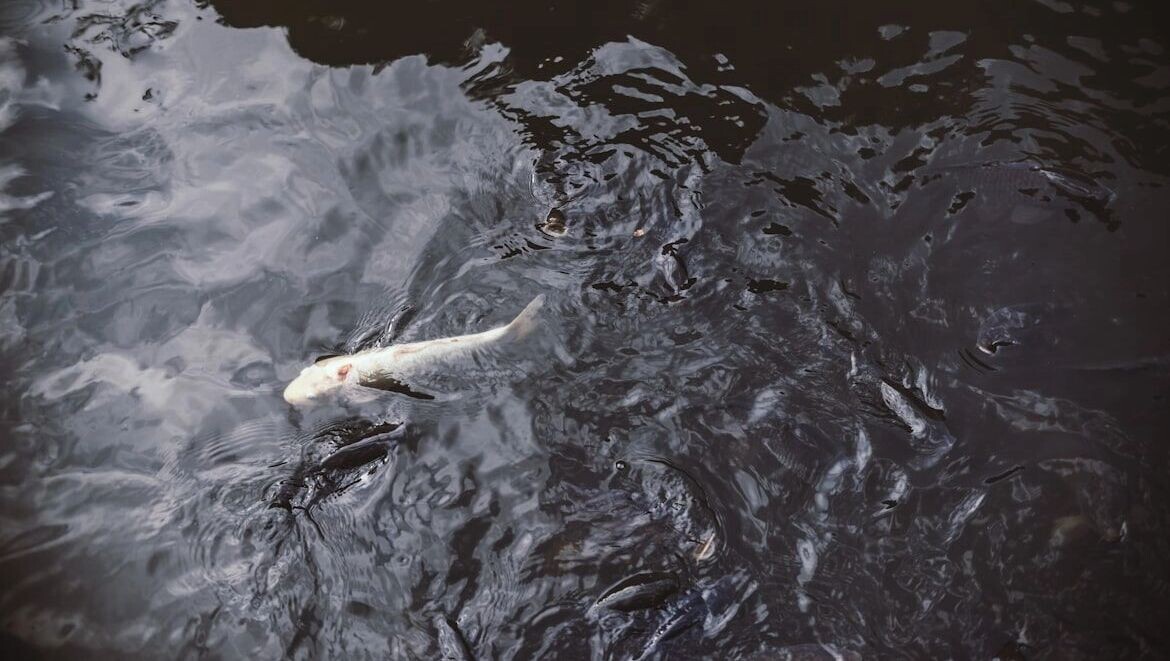     Автор: Unsplash