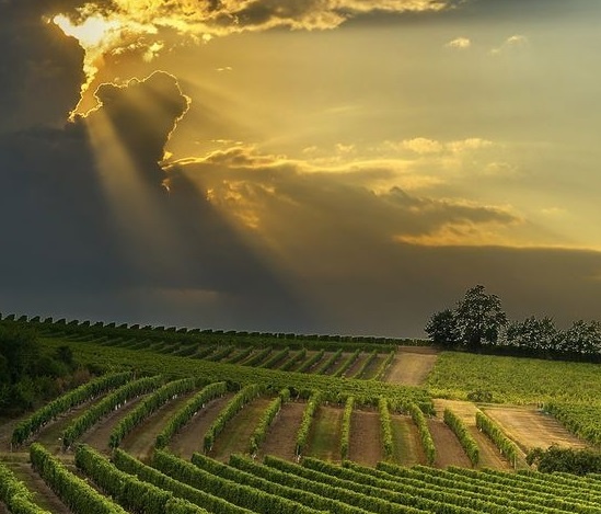 Фото из открытых источников 