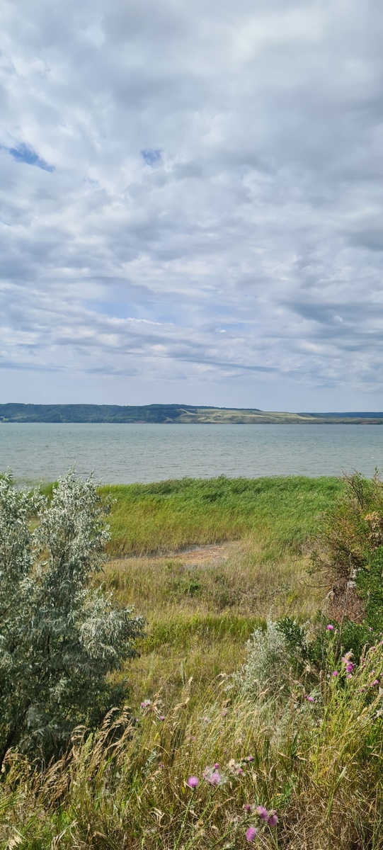 Лето. Релакс. Красота 