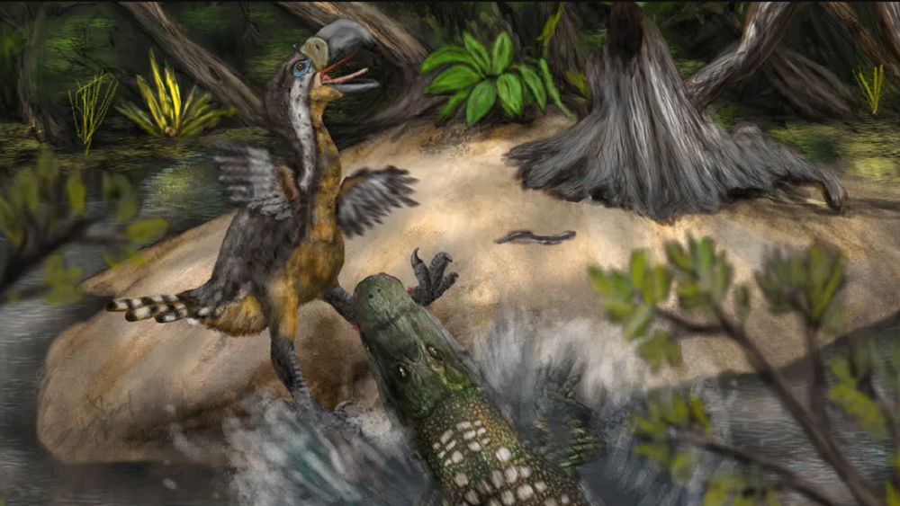     Фото: Julian Bayona Becerra/Biology Letters