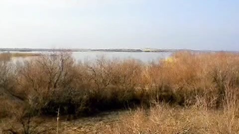 Разлив – «Сотый».