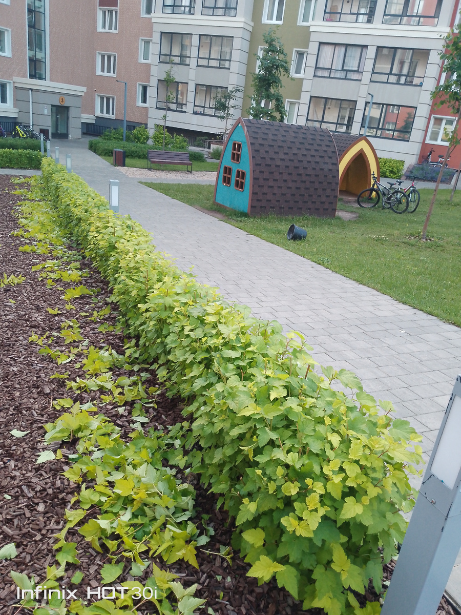 Фото на одном из моих объектов