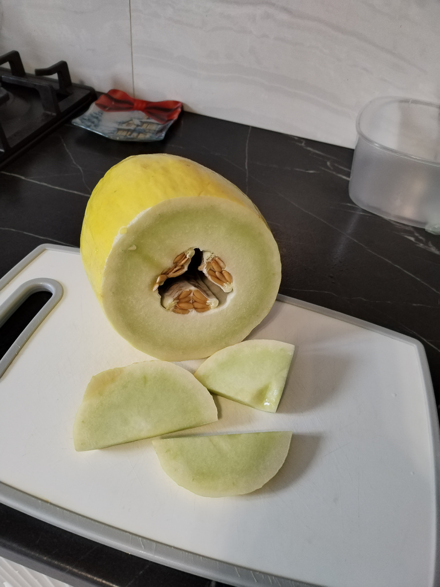 Зелёная дыня. 