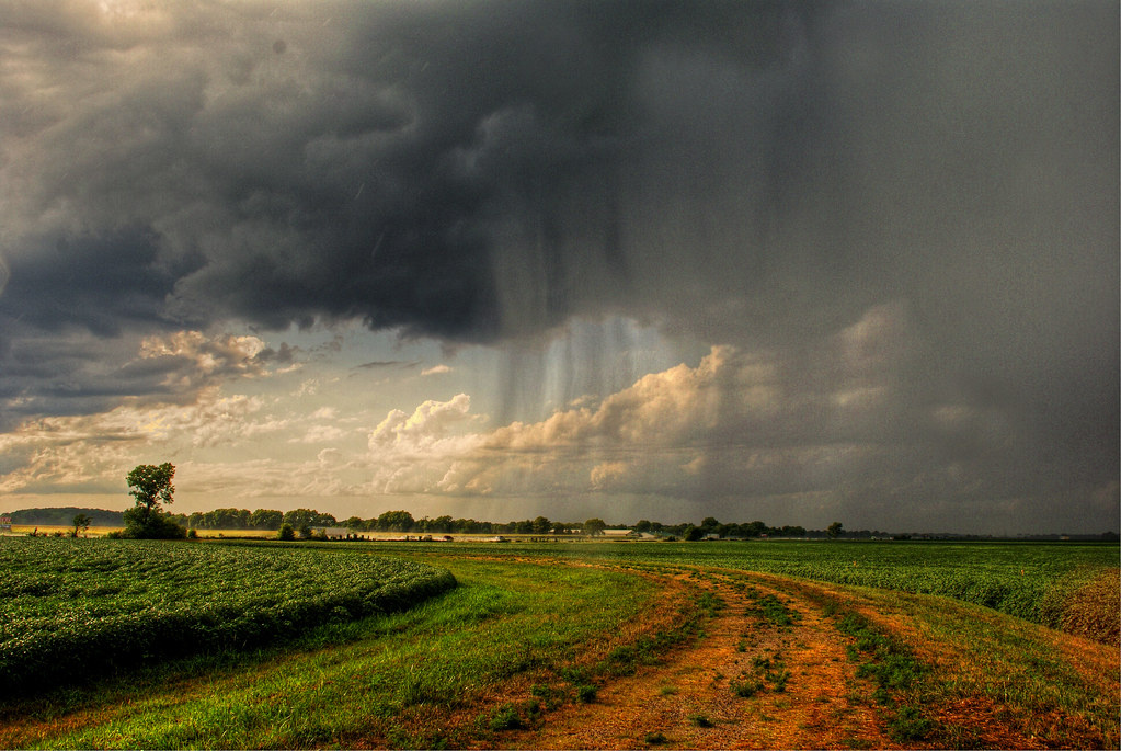 Дождливое лето в средней полосе России
