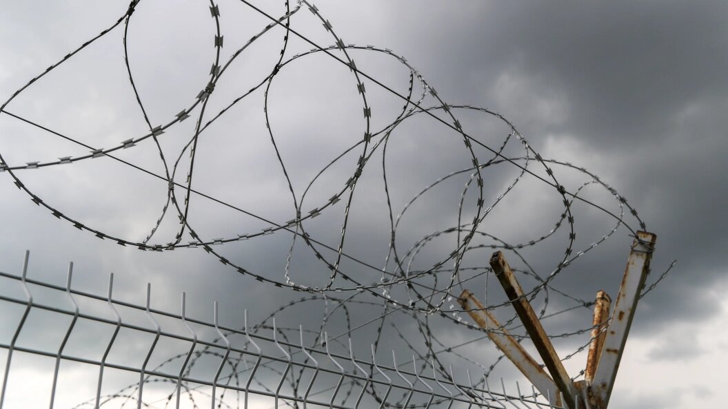    фото: Belkin Alexey/news.ru/Globallookpress