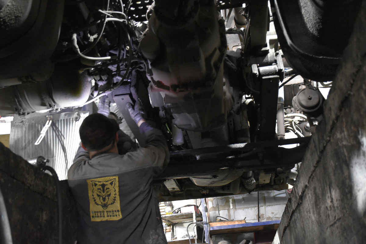 Диагностика ходовой в автосервисе "Дикий койот"