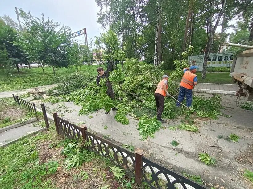     © Пресс-служба администрации Хабаровска. Дмитрий Перегудов