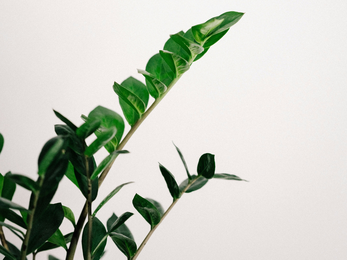 Фото: unsplash.com