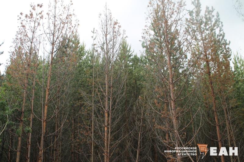    ЕАН / Архивное фото