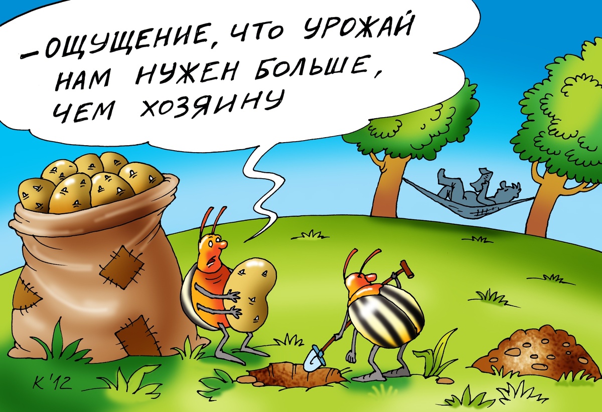 Фото: Екатерина Мартинович.