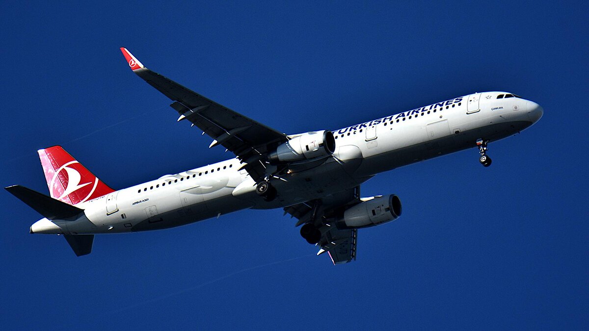    Фото: Gerard Bottino/globallookpress.com