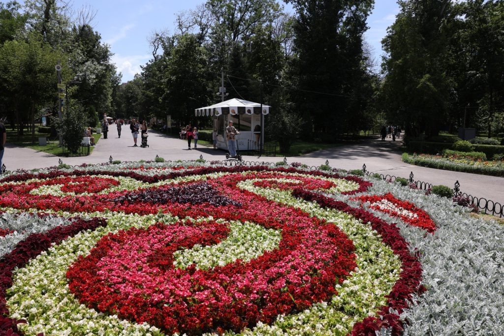    Фото правительства Ростовской области Диана Огнева