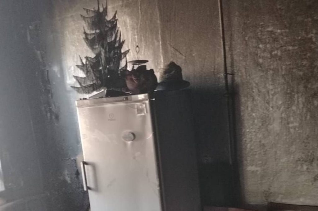   Фото: ГУ МЧС России по РО. Галина Ященко