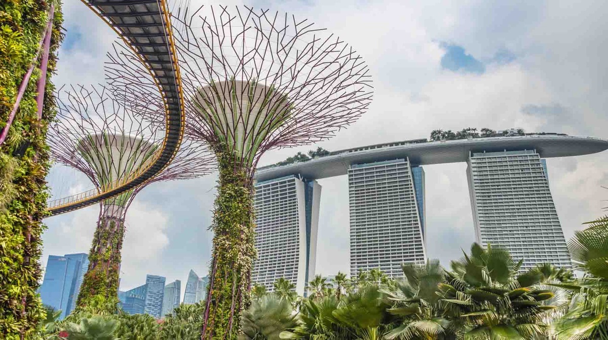    Парк в Сингапуре / Фото: Global Look Press / Nathalie Lieckfeld
