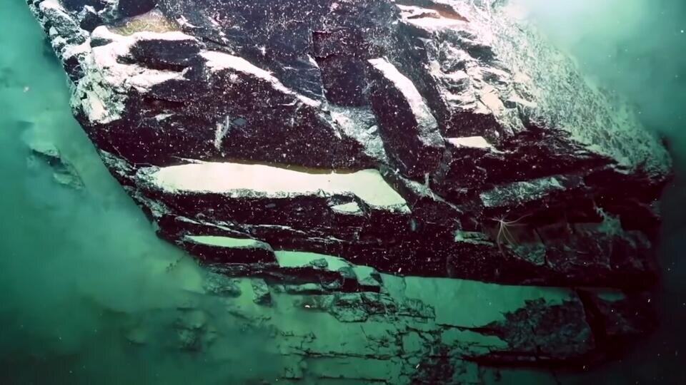 Фото: © Кадр из программы "Загадки человечества", РЕН ТВ