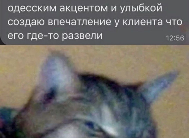 На вопрос «Как дела?» адвокат отвечает коллеге: «Как в апелляции – без изменения и без удовлетворения».