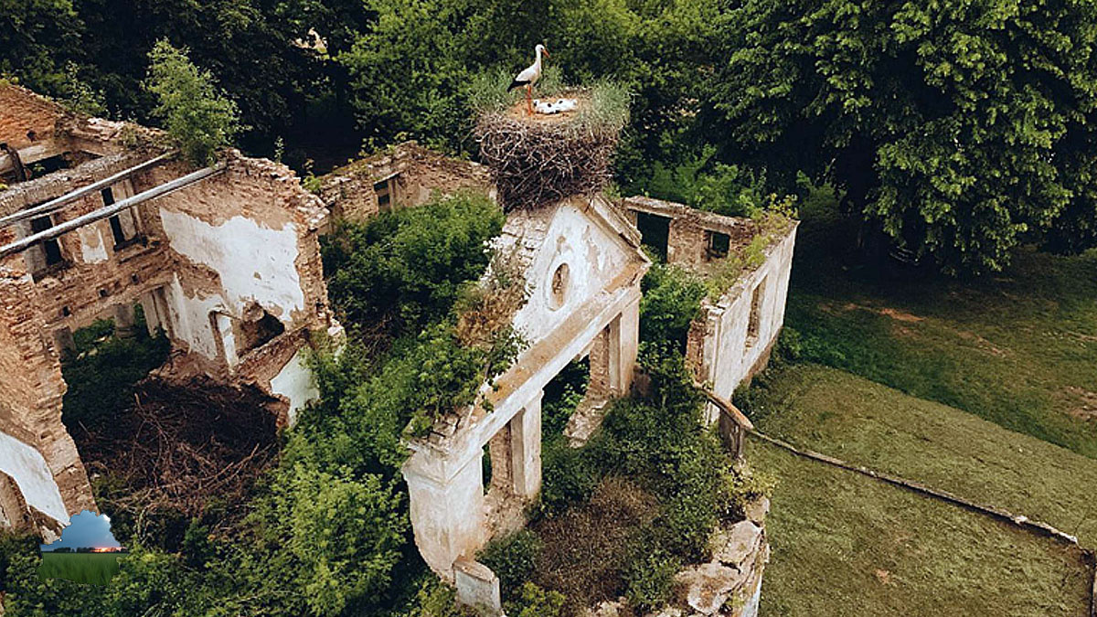 Гнездо аистов — визитная карточка и главная изюминки усадьбы. Теперь это тоже в прошлом.