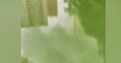     Вода озера в красноярском Пашенном стала зеленой