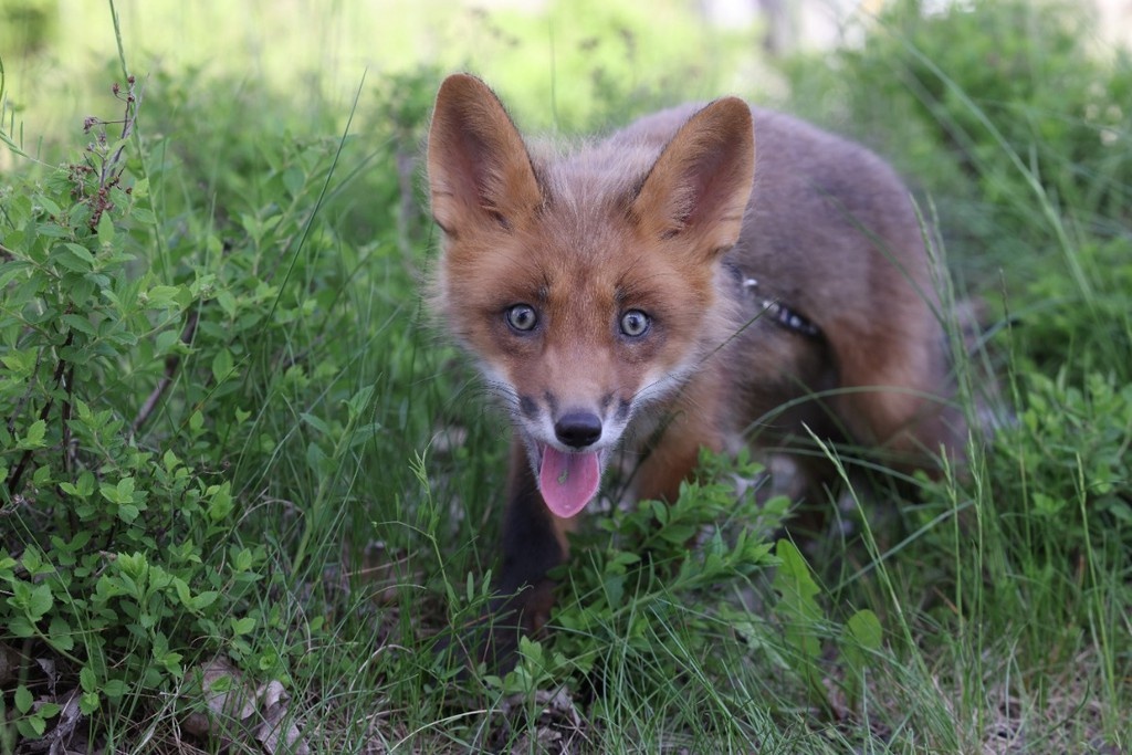    Фото © Анастасия Романова / Абзац