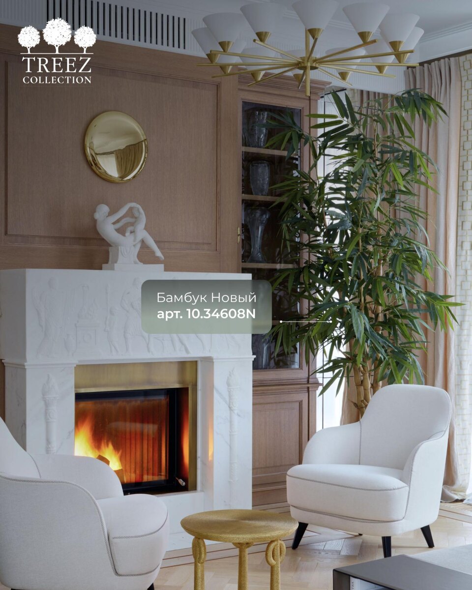 Растения TREEZ Collection