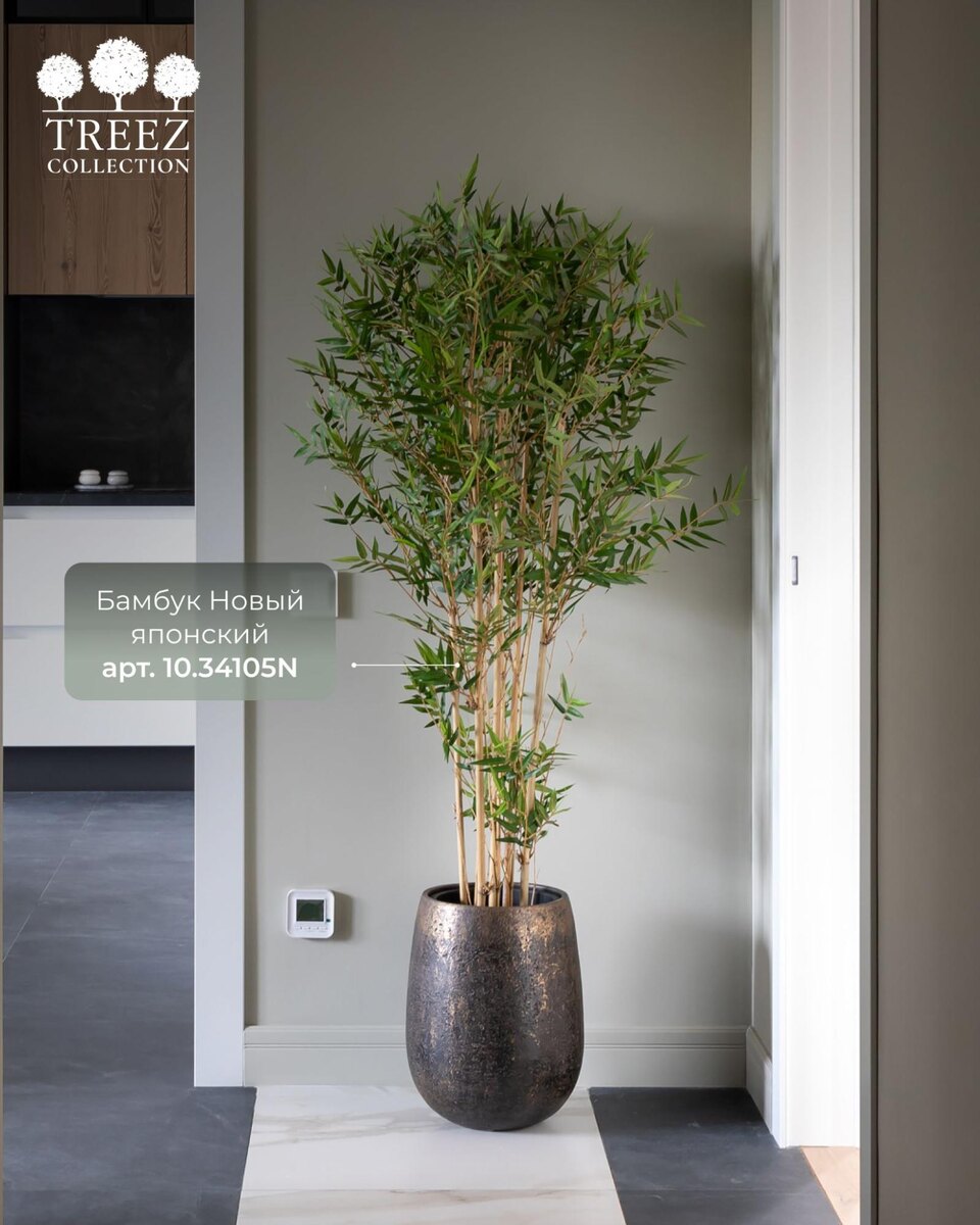 Растения TREEZ Collection