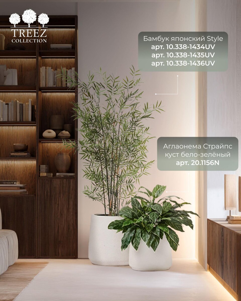 Растения TREEZ Collection