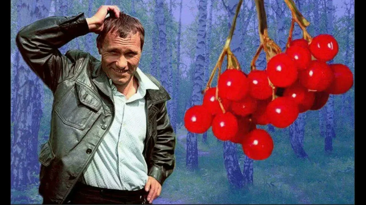 Шукшин и гроздь костянок калины красной