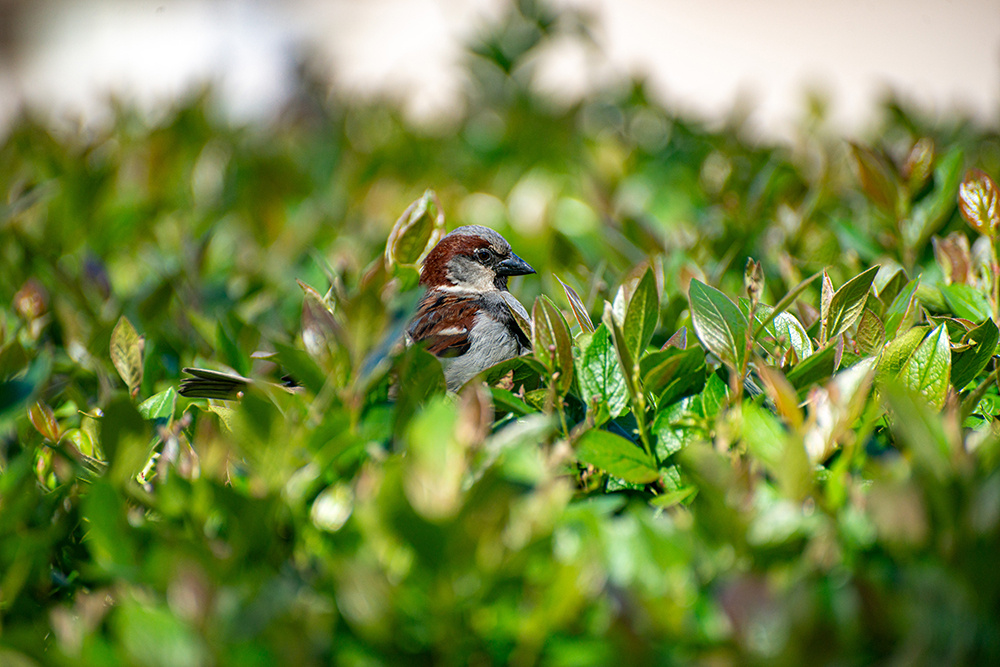 Погода в Твери 23 июля. Солнце и магнитная буря