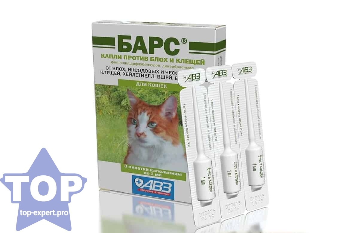 Капли на холку