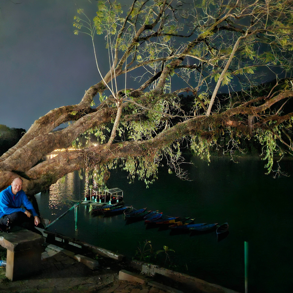 Не знаю, что за дерево в кадре, но росло оно почти горизонтально. Фото автора.