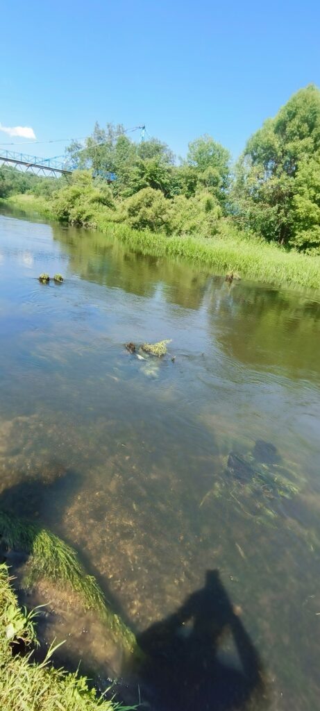 Надолбы около моста которые подтопило перед поднятием воды
