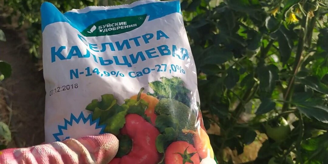 Кальциевая селитра и цели ее использования: раскрытие многих свойств удобрения