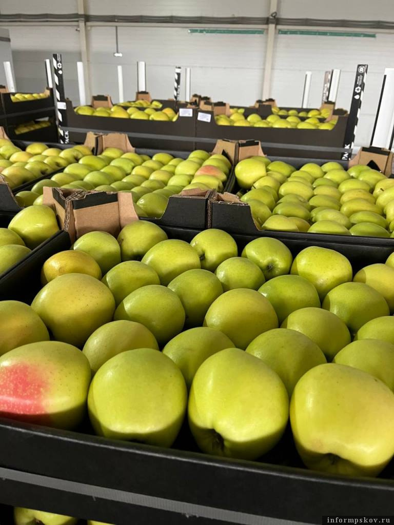 Фото здесь и далее: пресс-служба Северо-Западного межрегионального управления Россельхознадзора