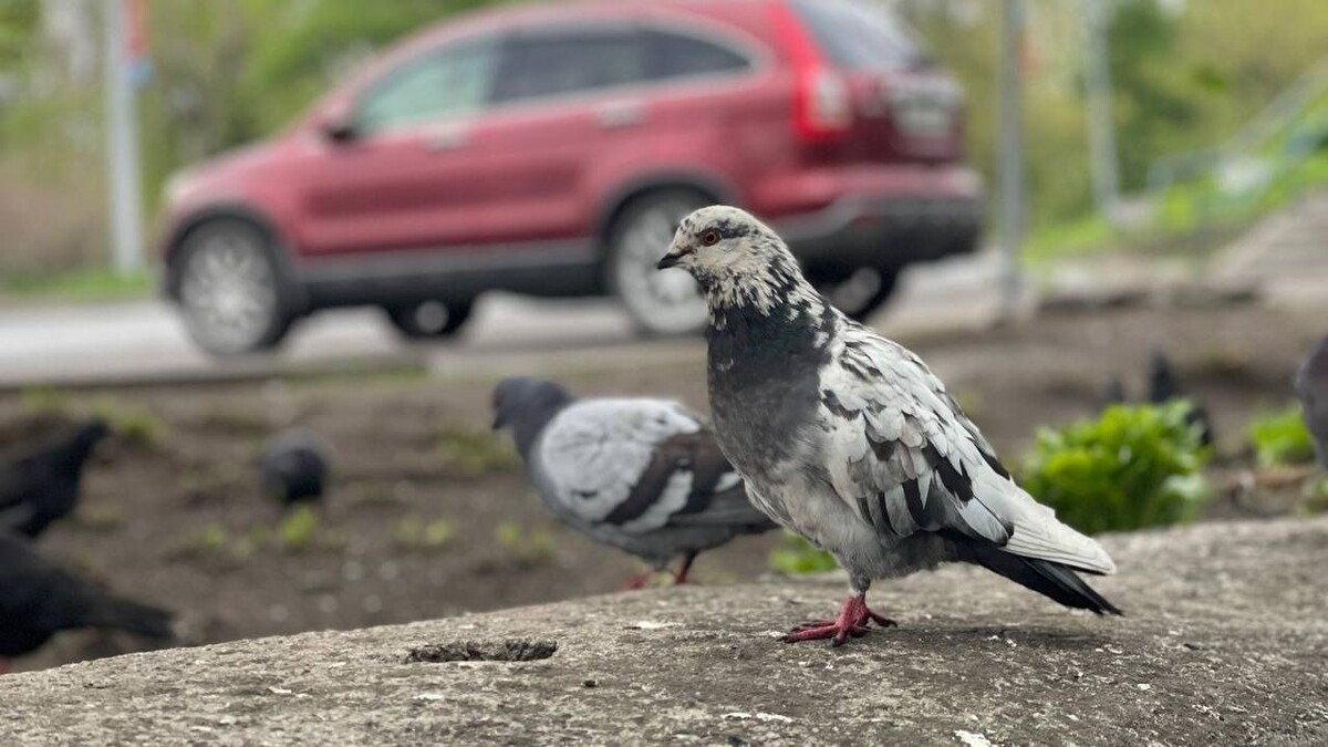     Источник: vostokmedia.com