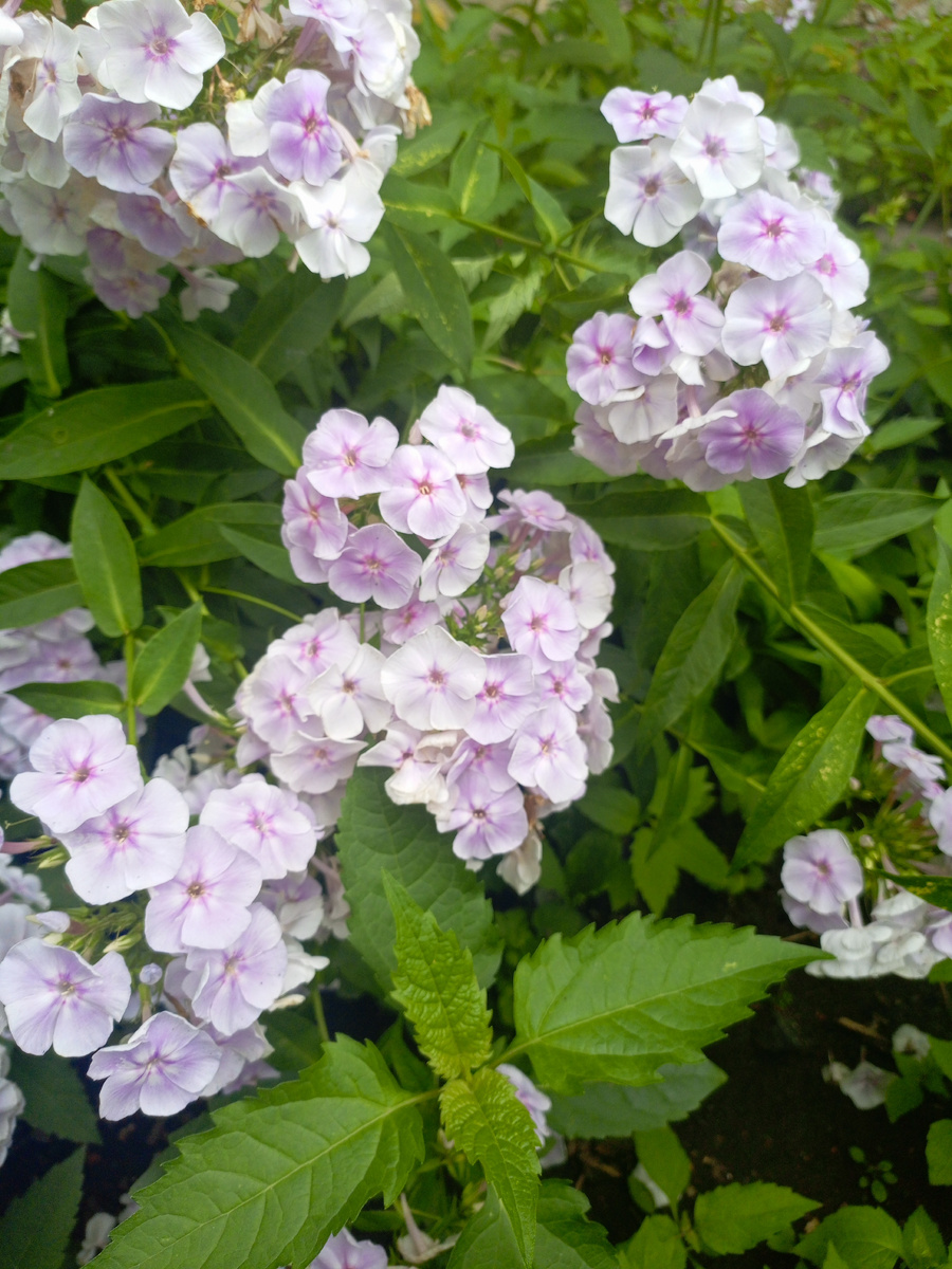 Фото сделано автором канала