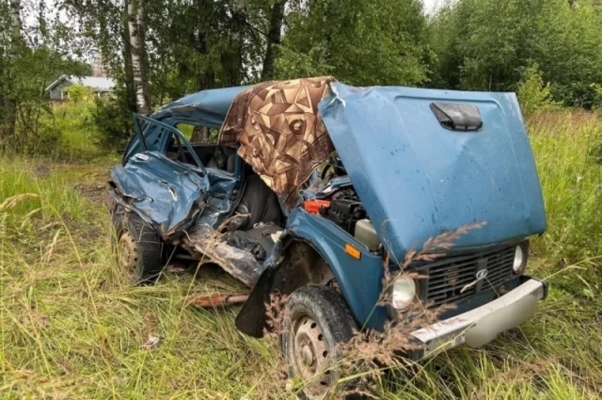    В Шуйском районе лоб в лоб столкнулись «Нива» и лесовоз: один человек погиб