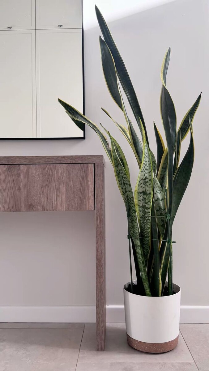 Фото взяты с Pinterest