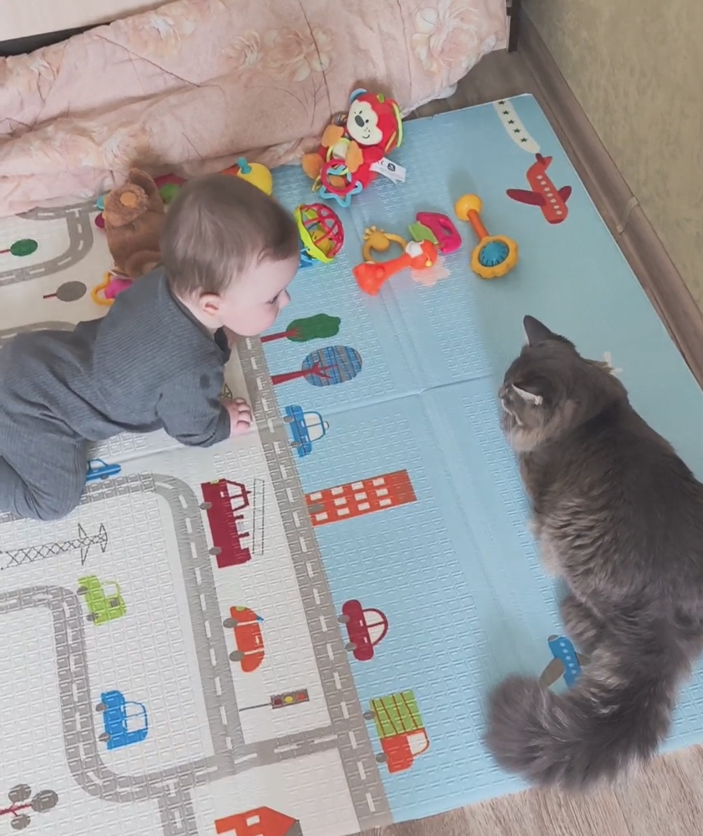 Все фотографии в статье паторские