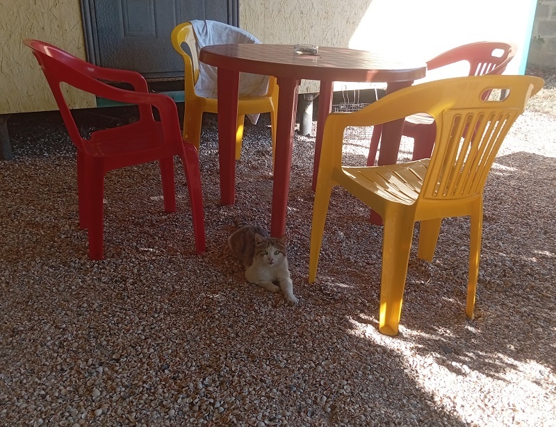 Фото автора