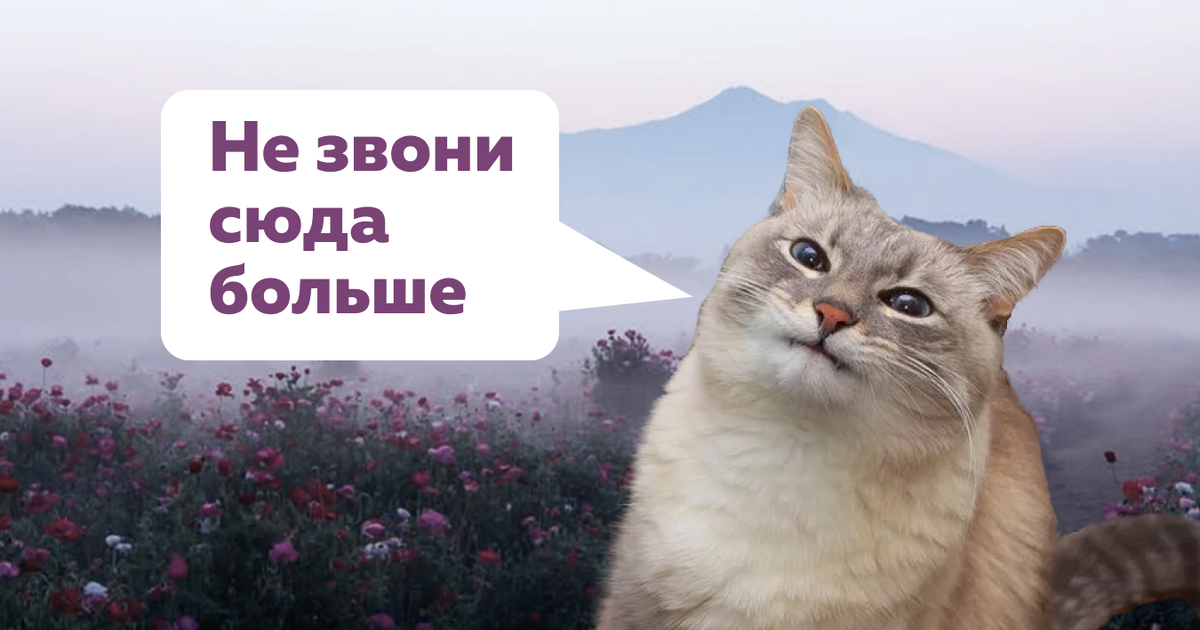 Почему нам всем стало лень звонить 