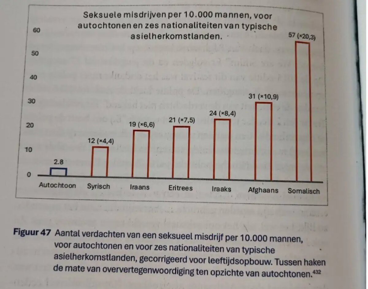    Визуалом выбрано фото из голландского статистического сборника с соответствующей статистикой преступности.
