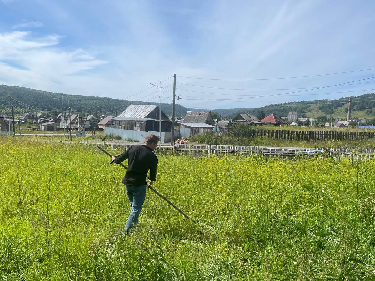 Занимаюсь борьбой с вредными растениями