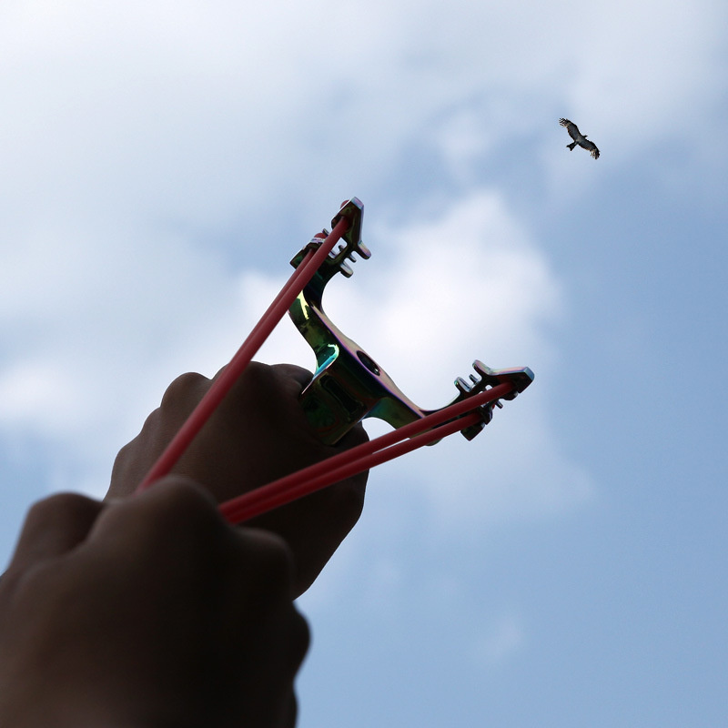 картинка из интернета