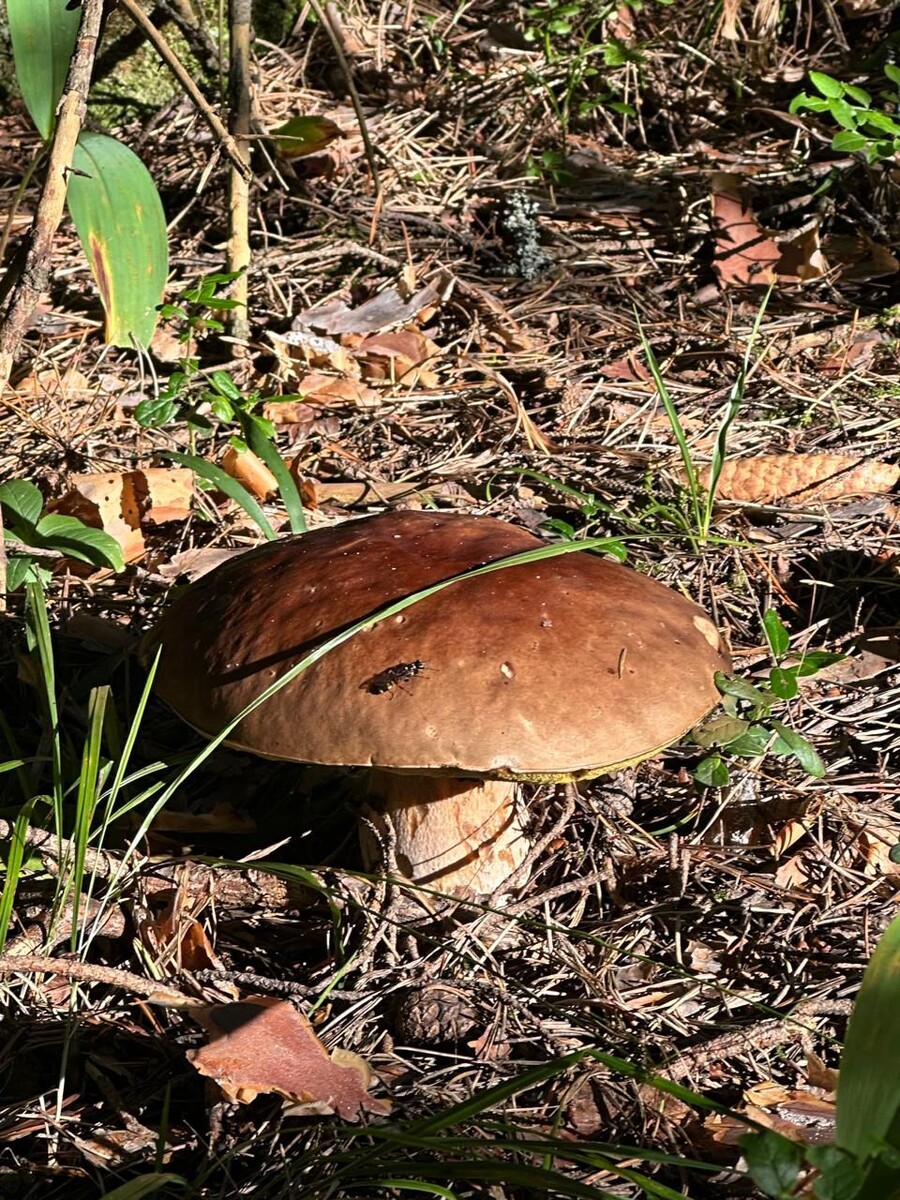 Фото автора.